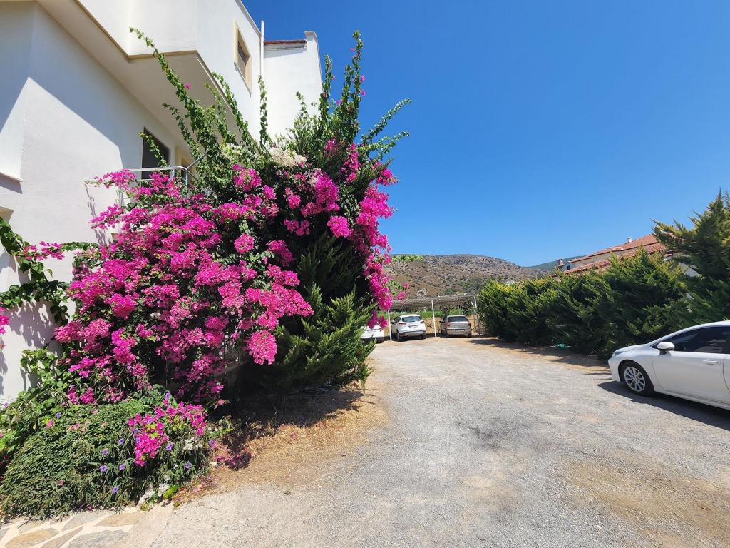 hotel-image