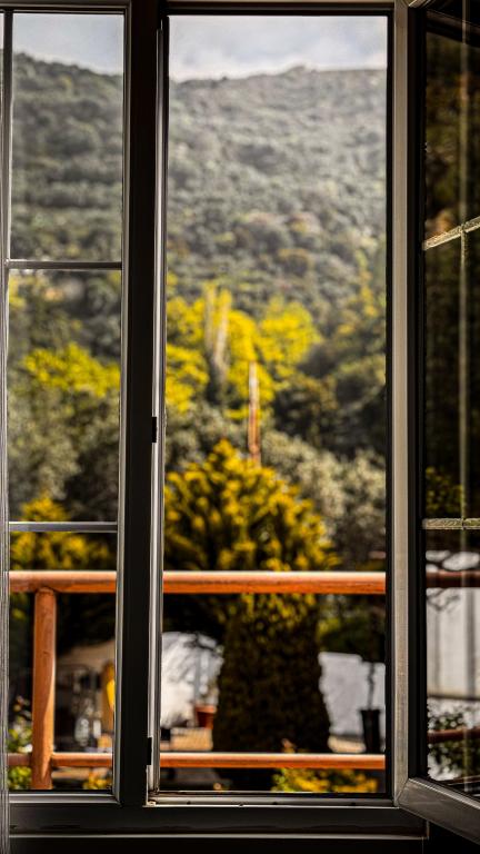 Standart Oda, Kara Veya Havuz Manzaralı