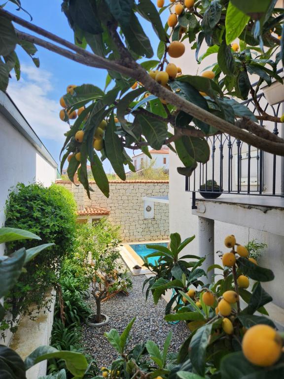 Villa 2+1 Oda-Özel Havuzlu