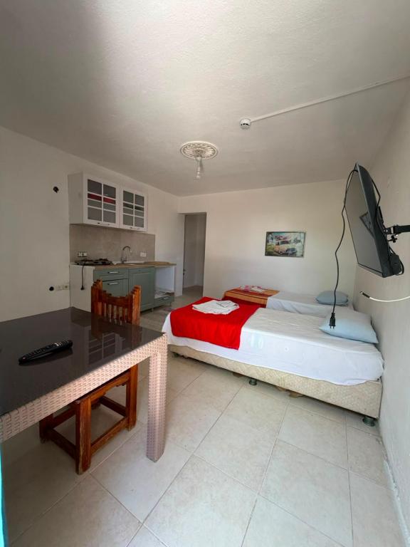 Apartment,Kara veya Havuz Manzaralı