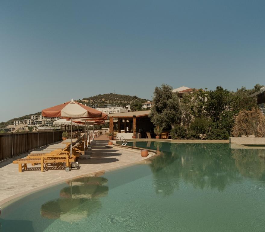Genel Görünüm