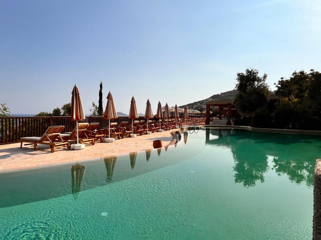 Havuz Bağlantılı Standart Oda,Deniz Manzaralı