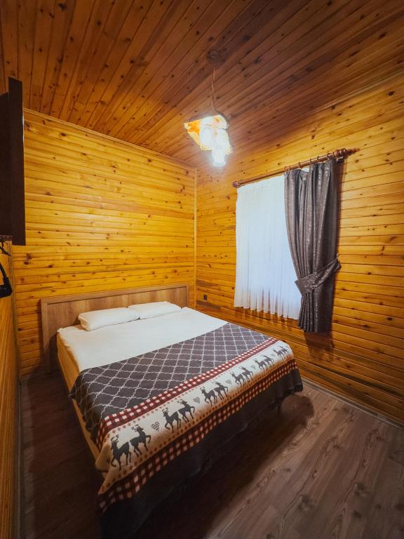 Family Room, Forest View, Fireplace