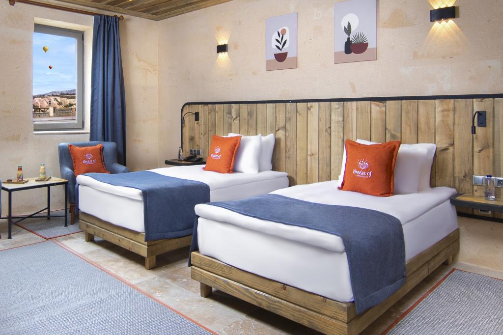 Deluxe Iki Ayrı Yataklı Oda, Bahçe Manzaralı