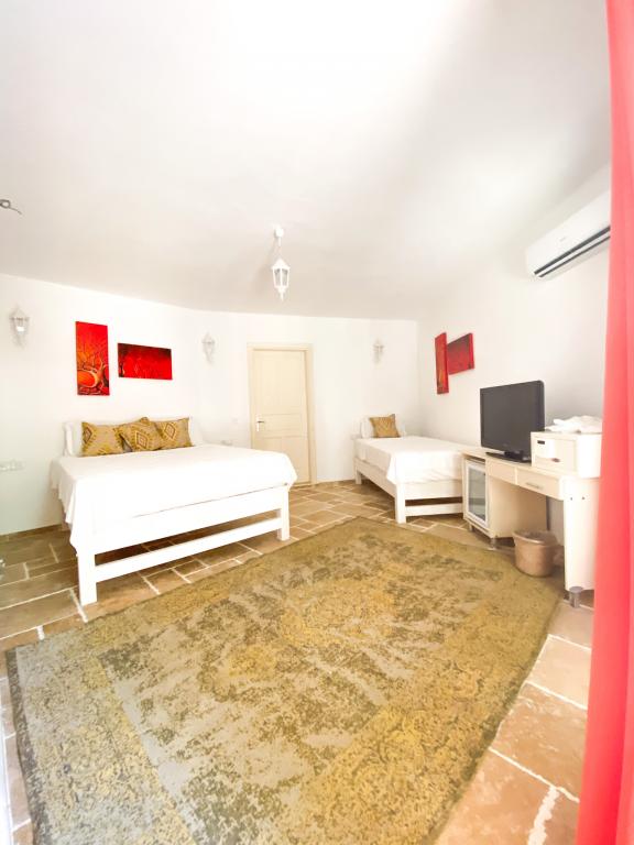 Economy Room, Land View
