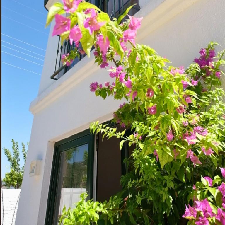 Aile Odası,Bahçe Manzaralı,Bahçe Katı