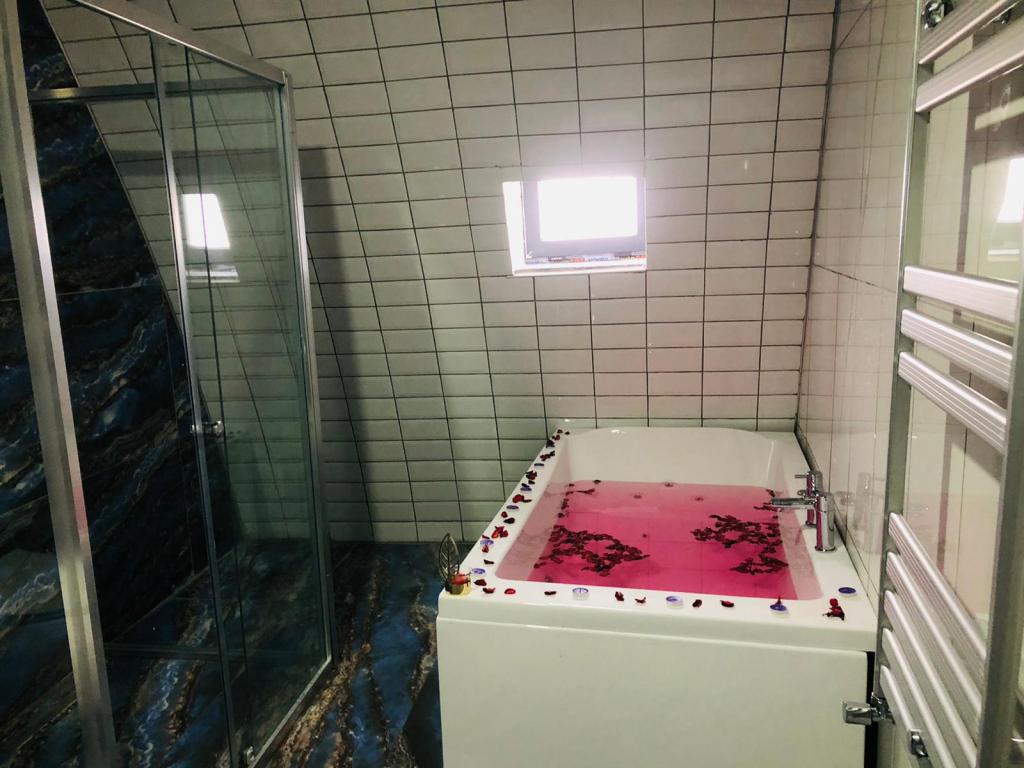 Suite,Dağ Manzaralı,Jakuzili