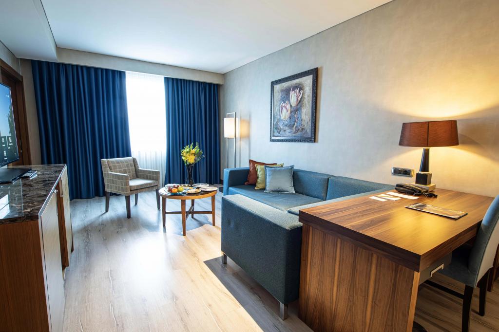 Deluxe Suite Room, City View