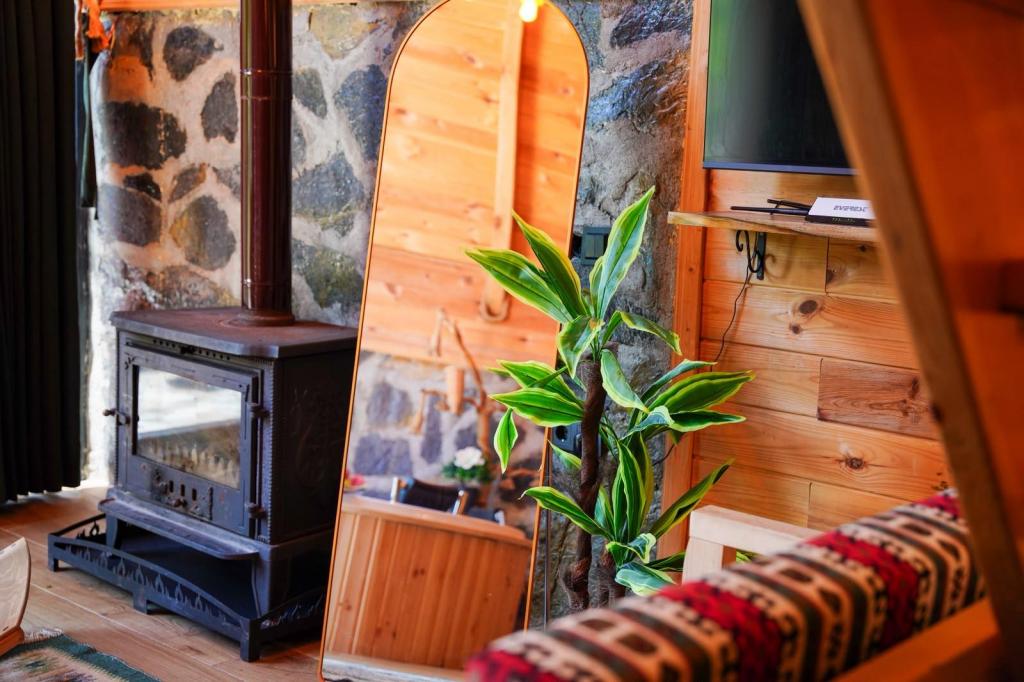 Bungalow - Çift Kişilik,Doğa Manzaralı,Jakuzili