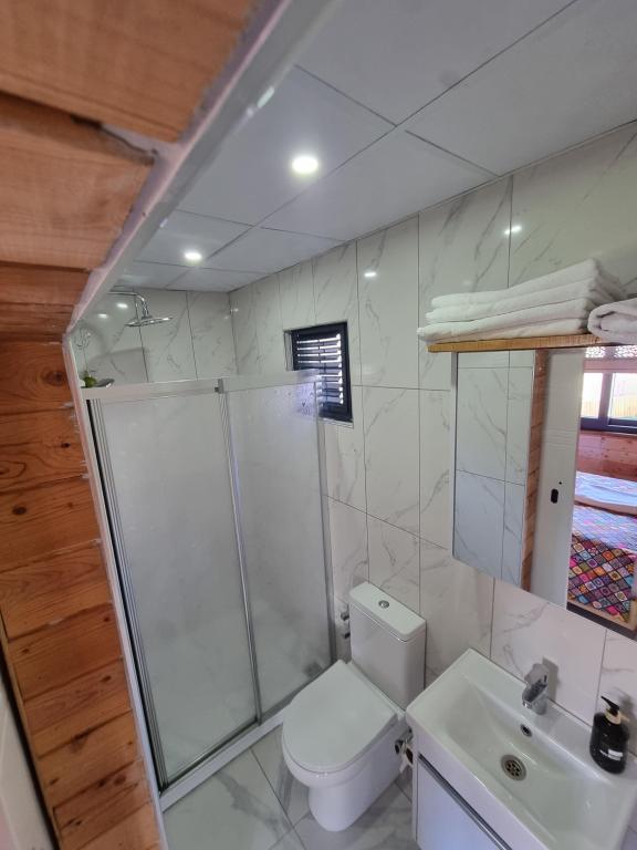 Villa,Dağ veya Havuz Manzaralı,Özel Havuzlu ve Bahçeli