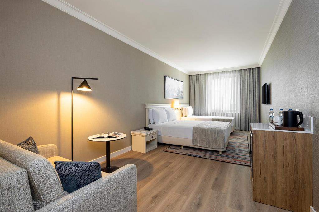 Standart Oda, Şehir Manzaralı (3 Kişilik, Balkonsuz)