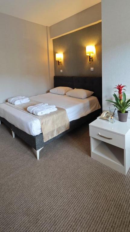 Family Suite Room