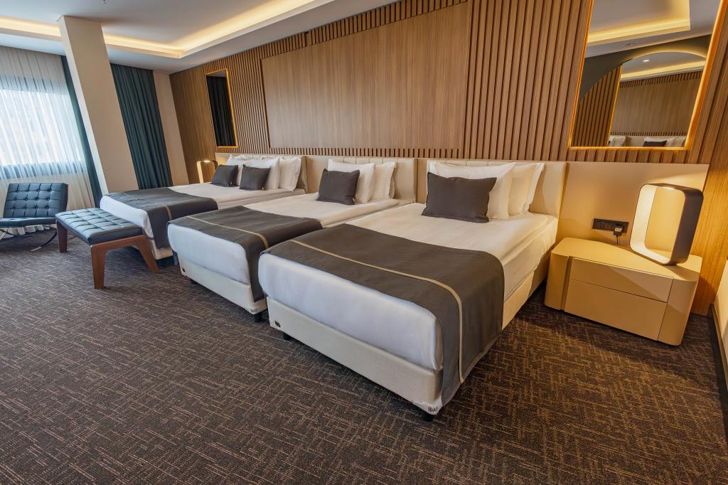 Executive Suit Oda, Cadde Manzaralı (Balkonlu)