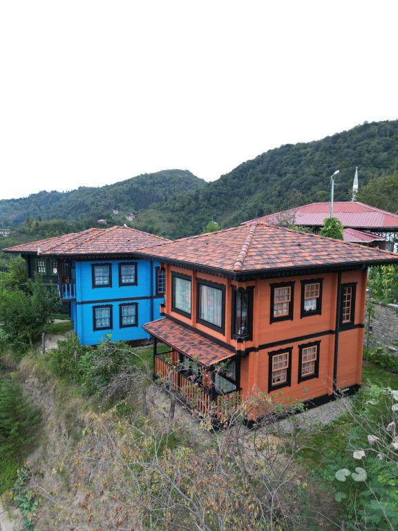 Villa, Dağ Manzaralı
