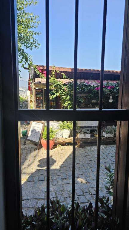 Portakal Çiçeği