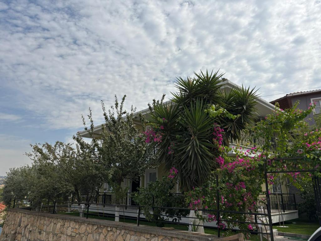 Kozbeyli Dalyan Pansiyon