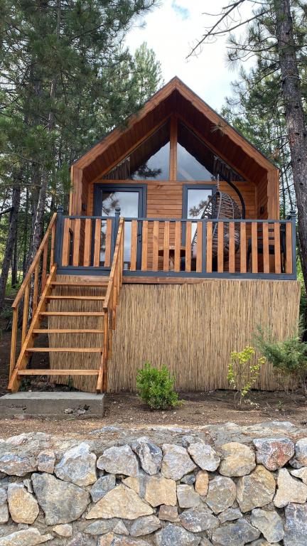 Tiny House