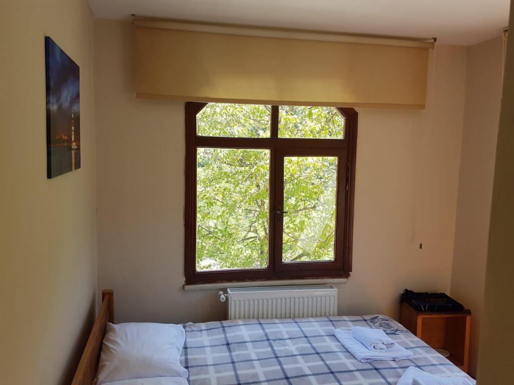 Arch Standard Room,Dere ve Orman Manzaralı,1. Kat