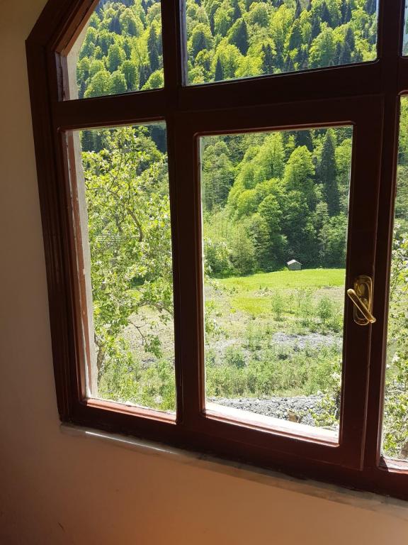 Arch Standard Room,Dere ve Orman Manzaralı,1. Kat