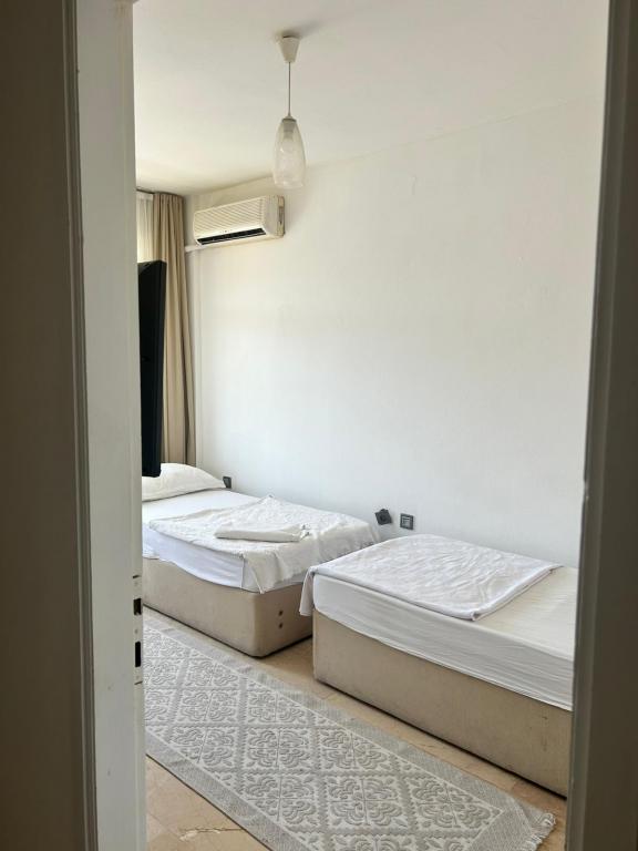 Ekonomik Oda, Cadde Manzaralı