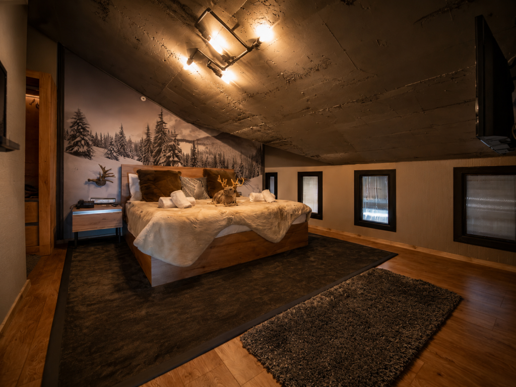 King Suite,Bağlantılı Aile Odası,Şömineli