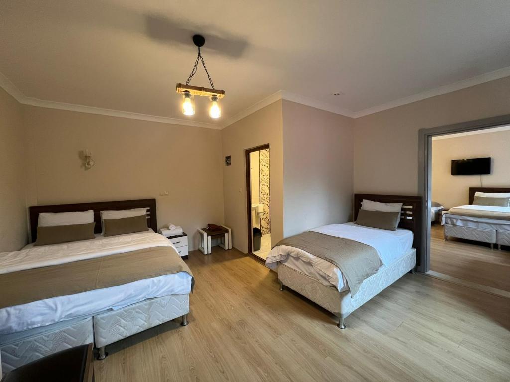 Connected Room, Courtyard View