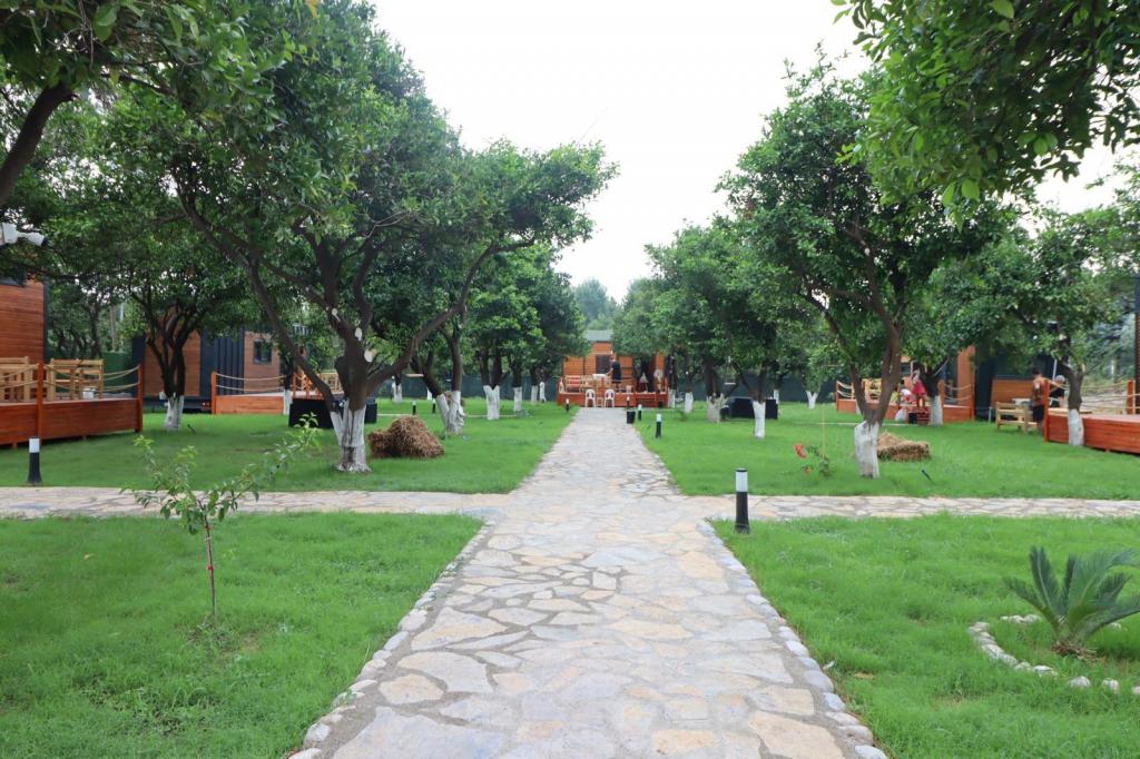 Deluxe Tiny House Oda, Bahçe Manzaralı (Balkonlu)