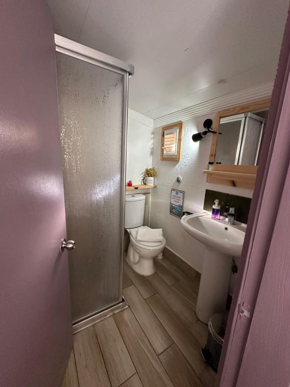 Classic Room,Bahçe veya Sokak Manzaralı,İki Tek Kişilik Yataklı