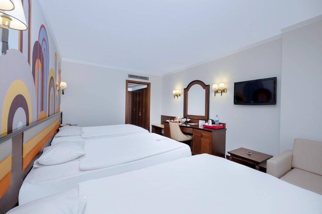 Standart Oda,Şehir Manzaralı,Fransız Balkonlu
