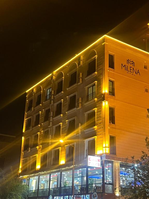 Milena Otel