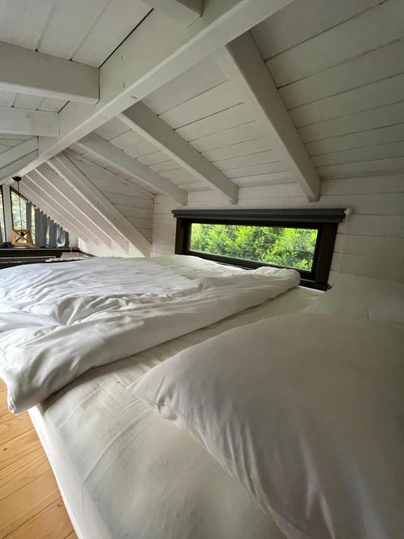 Tiny House,Bahçe Jakuzili