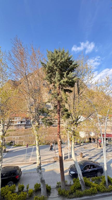 Triple,Nehir Manzaralı,Klimalı