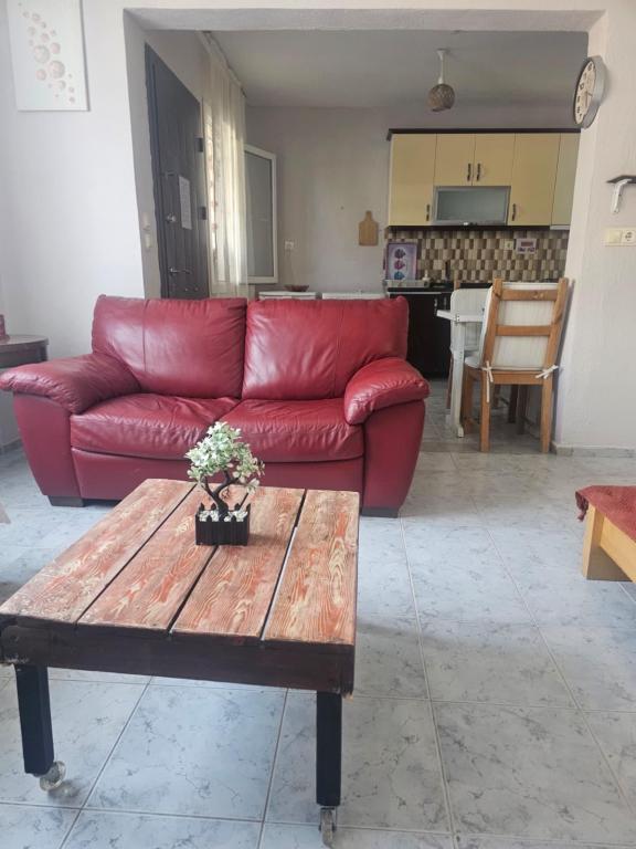 1+0 Mutfakli,Bahçe Manzaralı,Bahçe Katı