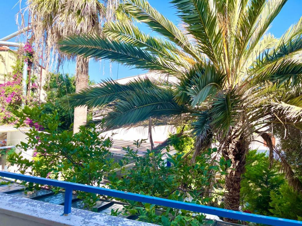 Aile Odası,Çeşme Marina Manzaralı,1. Kat