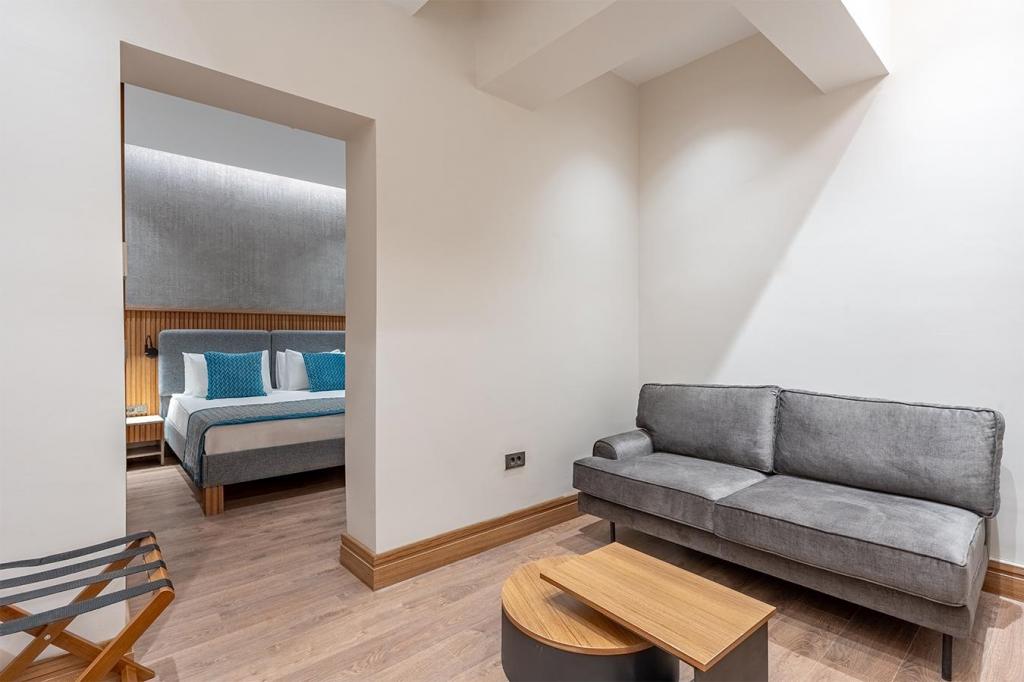 Deluxe Suit Oda, Cadde Manzaralı (Balkonlu, Teraslı)