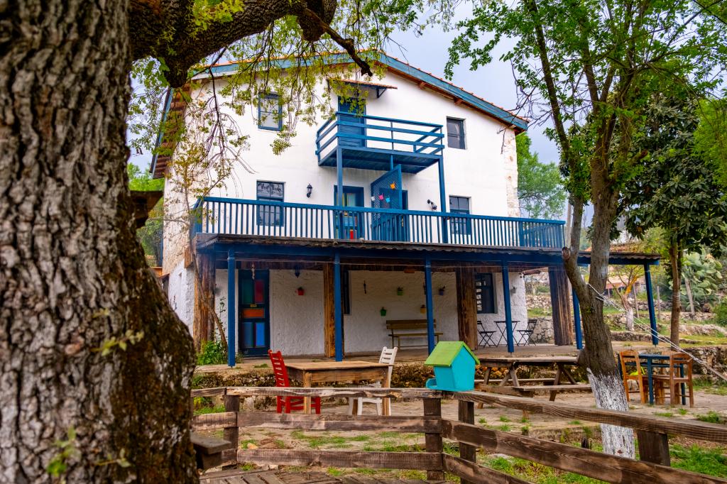 Apart Daire, Doğa Manzaralı (Balkonlu, Teraslı)