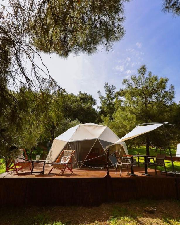 Tent, Forest View, With Veranda