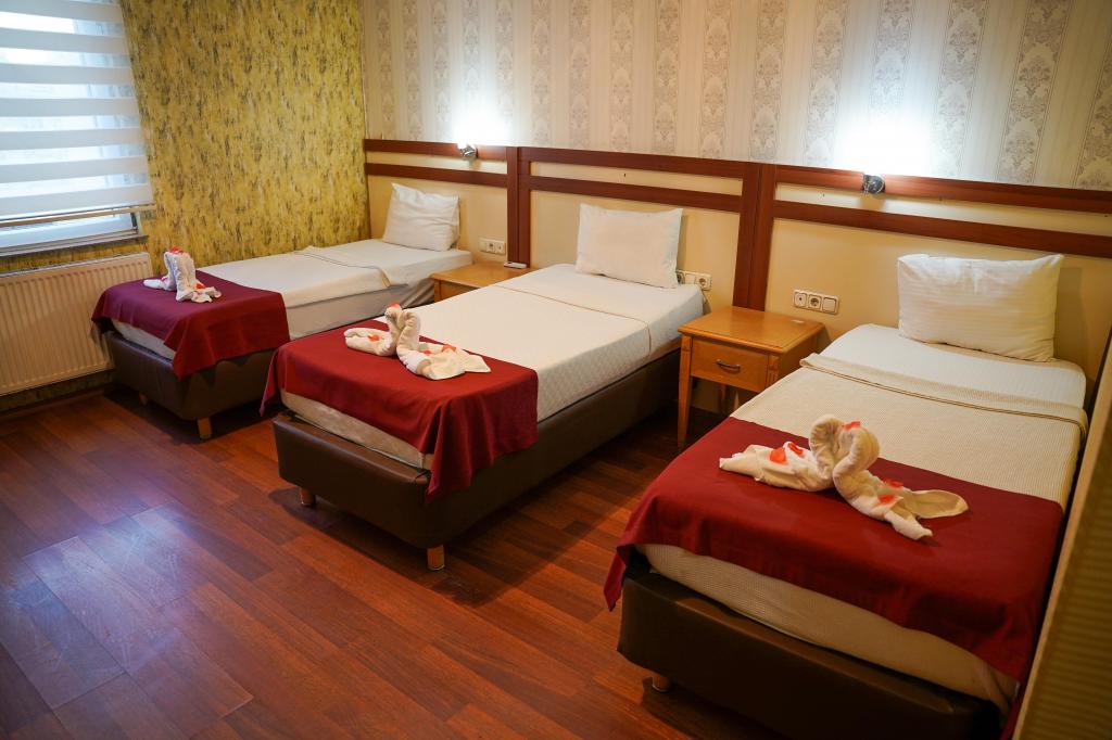 Deluxe Oda, Şehir Manzaralı (3 Kişilik)