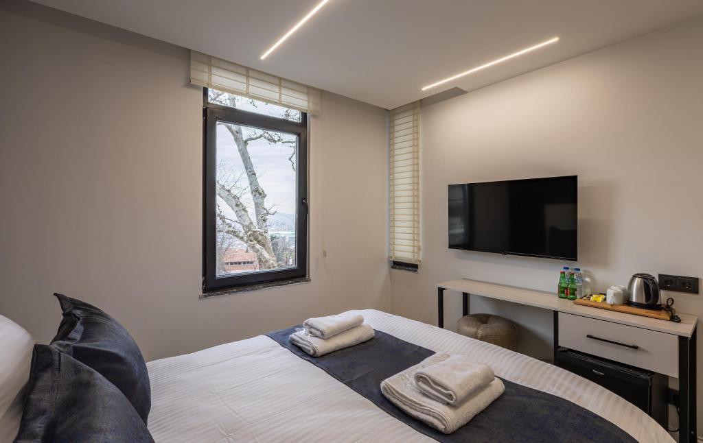 Standard Room, City View