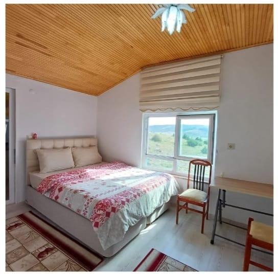 Verandalı Teras Oda (Teraslı)
