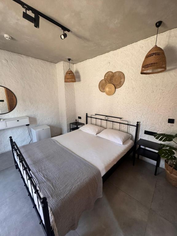 Economy Room, Courtyard View