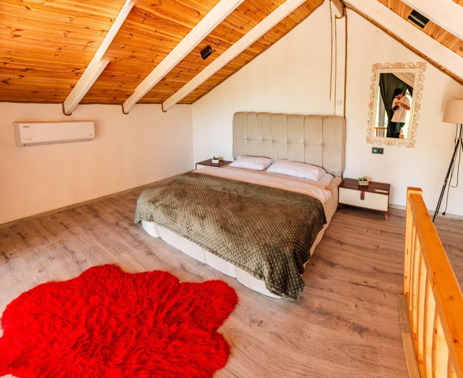 Superior Bungalow 2+1,Dağ veya Havuz Manzaralı,Özel Havuzlu (Isıtmasız)
