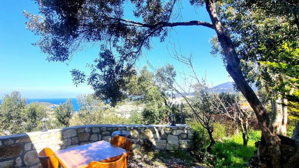 Panoramic Stüdyo,Deniz ve Dağ Manzaralı,Barbekülü