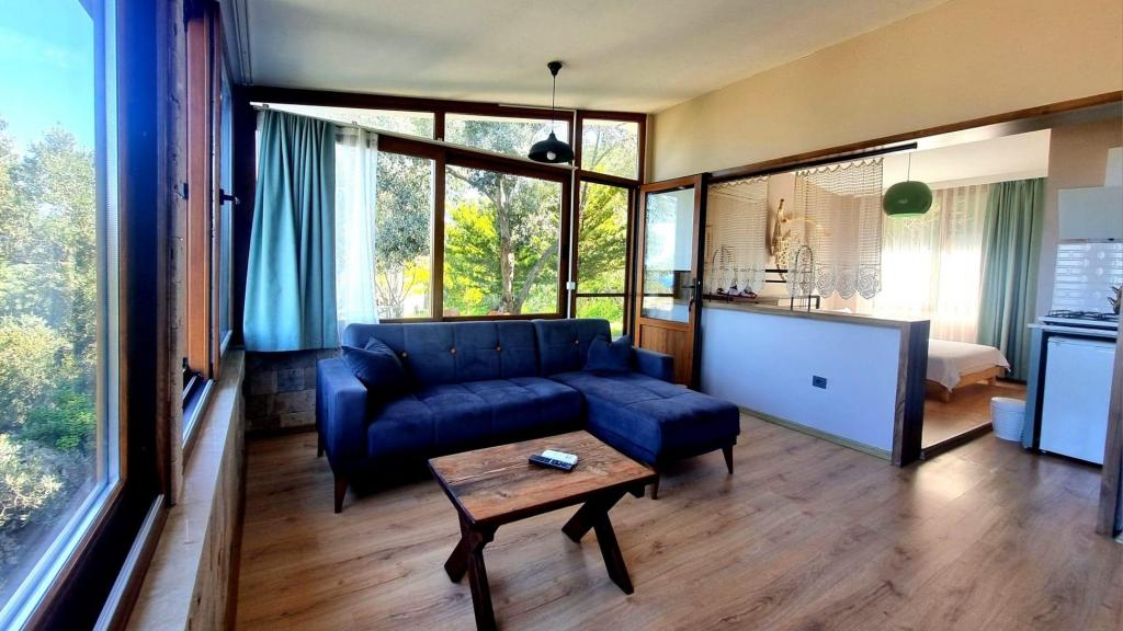 Panoramic Stüdyo,Deniz ve Dağ Manzaralı,Barbekülü