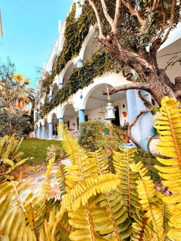 hotel-image