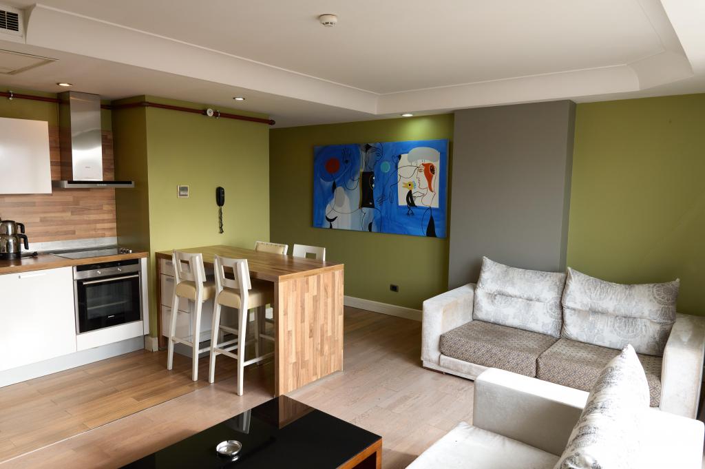 Daire-Tek Yatak Odalı,Şehir Manzaralı,Tam Donanmlı Mutfak - Full Kitchen