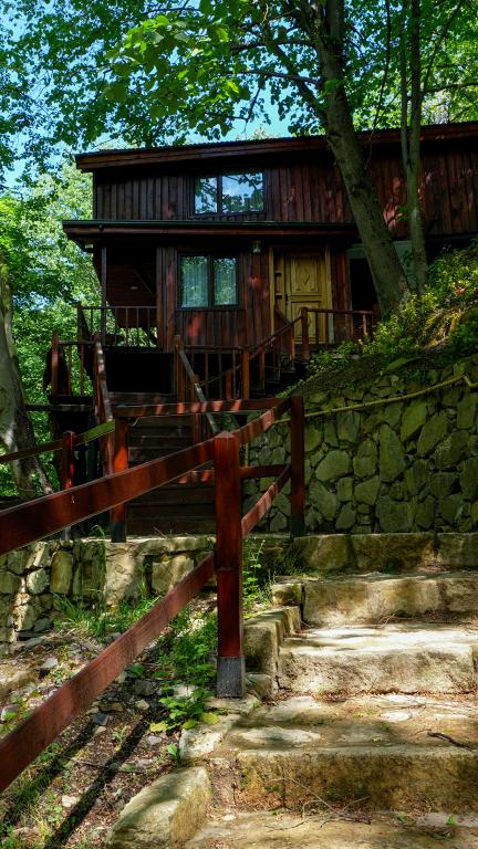 Dublex Suit Dubleks Oda, Orman Manzaralı