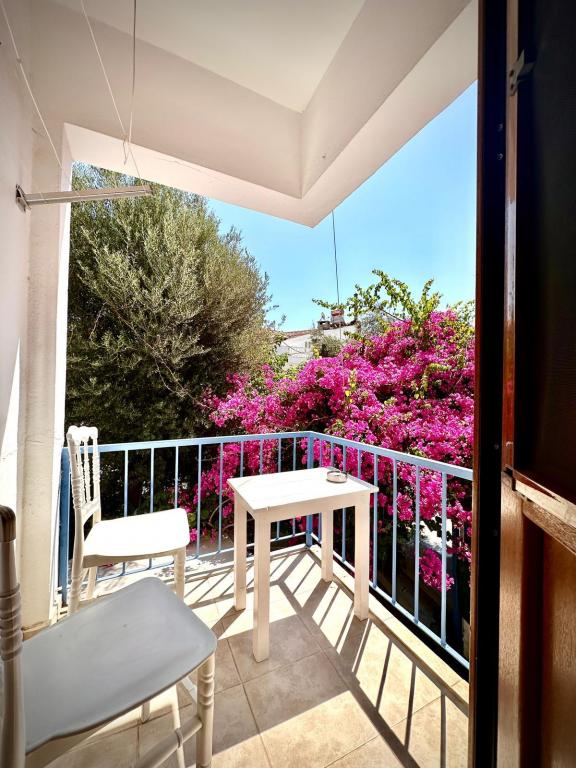1+1 Apart Daire,Bahçe Manzaralı,1. Kat