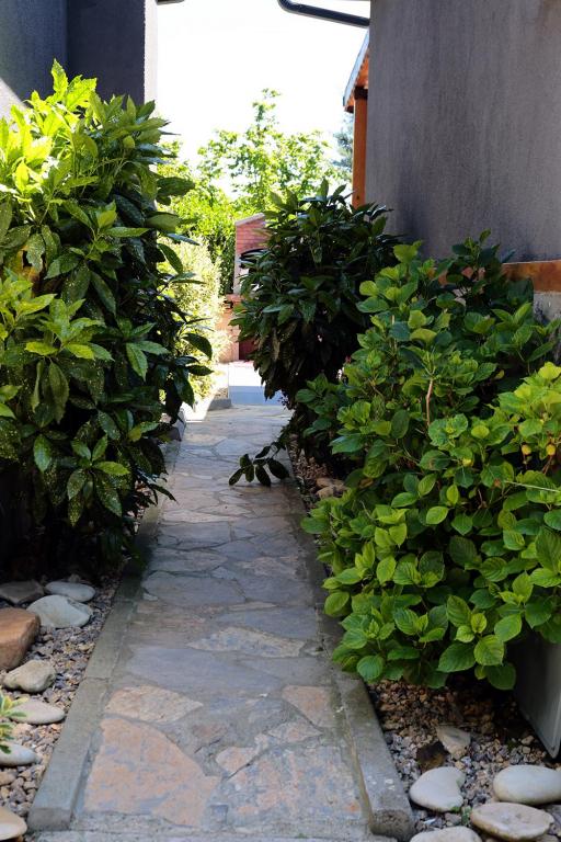 Bungalov Manolya,Bahçe Manzaralı,Bahçe Katı