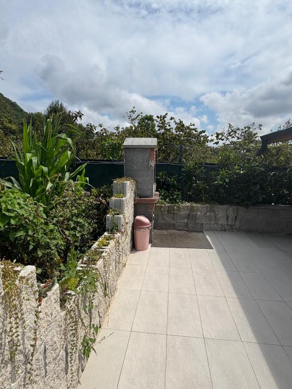 Ground Floor Room, Garden View
